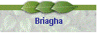 Briagha